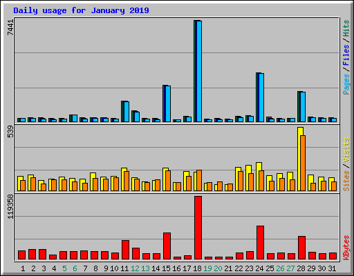 Daily usage for January 2019