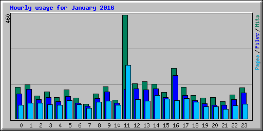 Hourly usage for January 2016