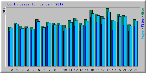 Hourly usage for January 2017