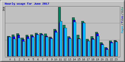 Hourly usage for June 2017