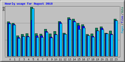 Hourly usage for August 2018