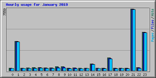 Hourly usage for January 2019